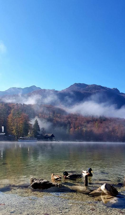 Apartments Bohinjc Esterno foto